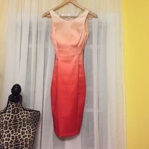Karen Millen Ombré dress
